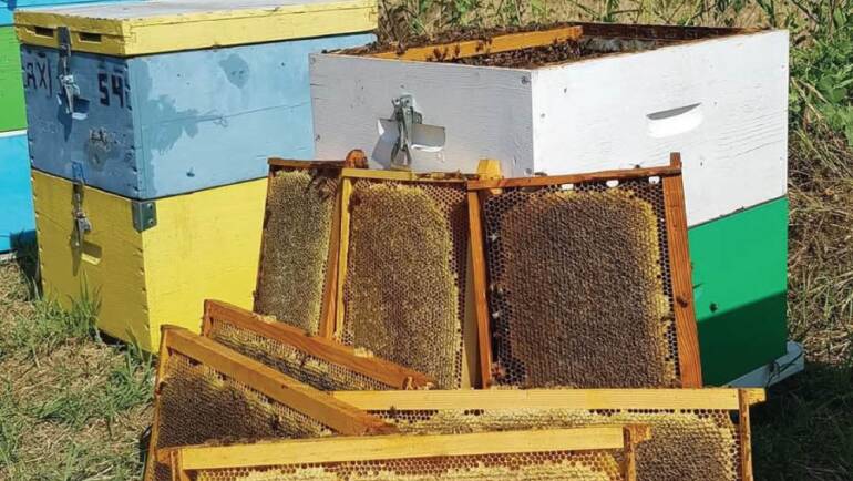 ΜΕΛΙ SIRIS ΜΕΛΙΣΙΑ